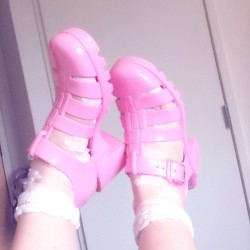 agent-lapin:  skelliesontoast:  agent-lapin:  I got pink jelly shoes no one can stop me now  Stop you from…? XD  World domination
