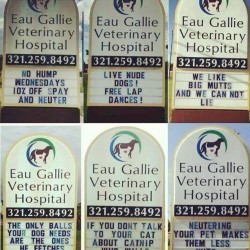 #funny #pets #doctor #gotjokes #instaphoto