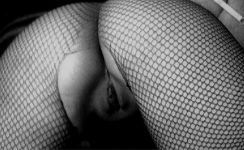 lucyjam789:  #sex #slut #fuck #hardfuck #roughsex #ass #pussy #spankme #adult #xxx #wet #horny #fishnet #me #myself #lingerie