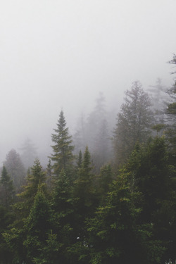 envyavenue:  Foggy Vermont | Photographer