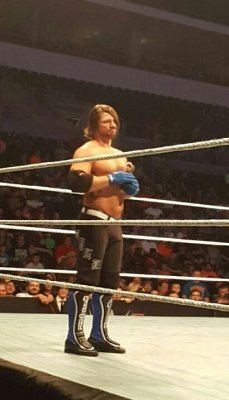 lasskickingwithstyle:  AJ Styles holding a stuffed deer. Your argument is invalid. (x) 
