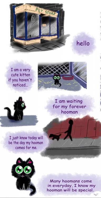 catsbeaversandducks:“When your daughter asked for a story about a cute black kitten for Halloween with a happy ending….I hope I delivered.”Comic/caption by Elaina Lee