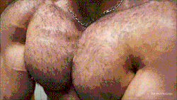 Massive pecs and the hair is ideal - WOOF  Would like to see what it looks like fully grown out - WOOF again.