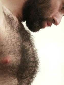 tantalus69:  Axiom: Furry chest   furry face = hair stuck in my teeth  OMG such a thick hairy chest and beard.  Would love to rub my beard against his anytime including that awesome chest.