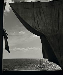arsvitaest:  Herbert List, At the Mediterranean Sea, Liguria, 1936 
