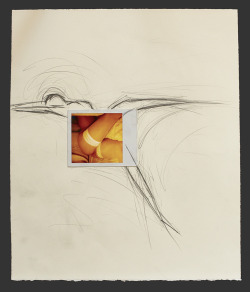 blurrynakedpeople:  Polaroid Sketches J.R. Mankoff  Art porn! 