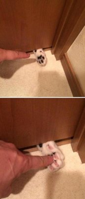 The Absolute Funniest Posts On Tumblr