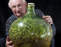  Jardin de 53 años David Latimer plantó un jardín en 1960 dentro de una botella de 10 galones y solo lo regó una vez en su vida. El jardín se autoalimenta a través de fotosíntesis y debe ser regado una vez cada 53 años, por lo que hace 40 años