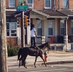 korienotcorey:  indg0:  u see the wildest shit in philadelphia   Wow this seems pretty normal to me. Niggas is always on horses here