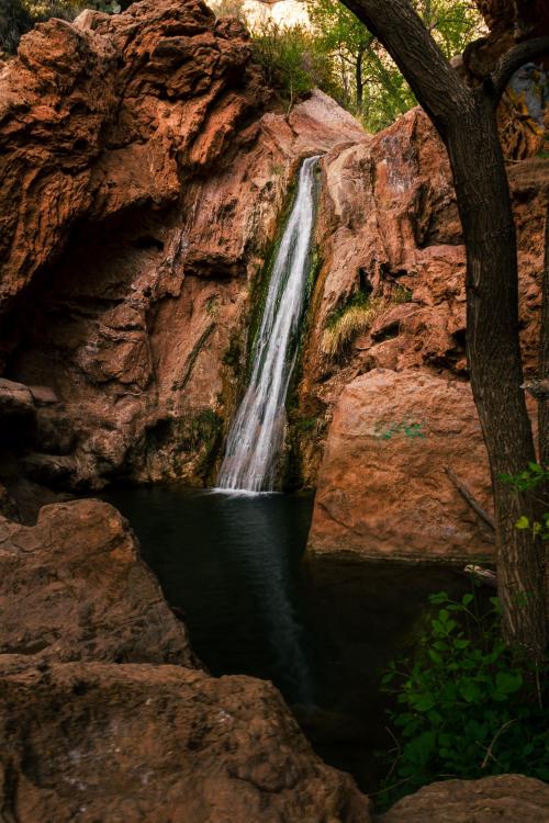 oneshotolive:  Rare waterfall in southern New Mexico. Fresnal Creek, Sacramento Mountains, New Mexico. [OC] [1707x2560] 📷: nature_and_such 