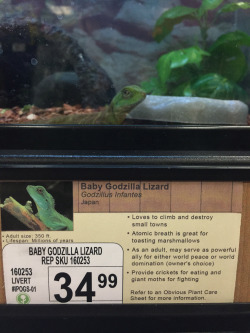 archiemcphee:  Los Angeles-based humorist Jeff Wysaski of Pleated Jeans and Obvious Plant (previously featured here) just paid a mischievous visit to his local pet store and swapped out the labels for a variety of animals with vastly improved species