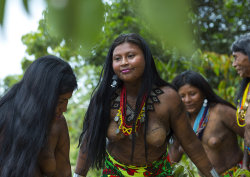   Panama, Darien Province, Bajo Chiquito, Women Of The Native Indian Embera Tribe, by Eric Lafforgue.  