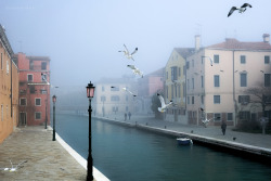 bruisedandleftbehind:       early morning mist in Venice -    © Carsten Heyer 