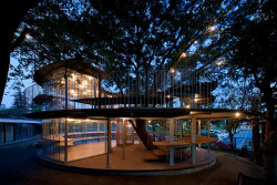 sixpenceee:  Japanese Kindergarten Built Around A Tree With A Legendary StoryFuji Kindergarten, a kindergarten located in Tachikawa, Japan, was built as a ring around a Zelkova tree with a storied past. A glass, steel and wood construction closer to the