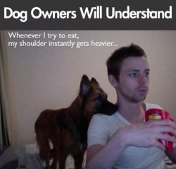 trail-rated:  saddleupbitches:  im-finn-the-human-so-what:  for those who love those silly furry babies… More here http://dogdose.com/30-hilarious-struggles-dog-owner-truly-understand/  I LOVE DOGS SO MUCH  These are all true  Tears ensues
