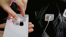 prostheticknowledge:  MIDI Sprout Kickstarter campaign for music device put together by Data Garden which can covert the biorhythms of plants into music - video embedded below:    MIDI Sprout enables plants to play synthesizers in real time. MIDI Sprout