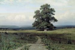 Ivan Shishkin (Yelabuga 1832 - Saint Petersburg 1898); Among the open Valley, 1883; oil on canvas