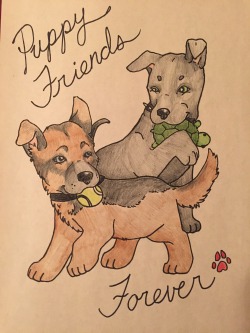 puplaika:  littlekittenkxoxo:  puplaika:  For my good puppy friend @brisketbully’s birthday–a belated gift from me! I’ll send it in the mail shortly. Ruff ruff!  Why is that dog eating a turtle?  That’s Brisket’s stuffed turtle, one of her favorite