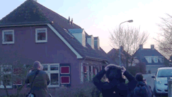 johndoenumber3:  becausebirds:  Dutch “Cuddly Owl” finally caught on video. This bird has been cuddling the citizens of this town for a while. It likes to land and stomp on people’s heads. Watch the video   whoa…