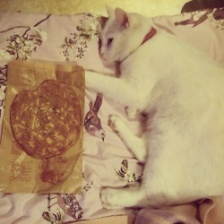 #meko protecting our huuuge #cookie from #boroughmarket  :&rsquo;D #nom #cat #goodies