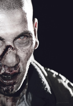  favourite characters  Shane Walsh, The Walking Dead  
