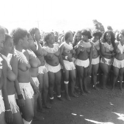  Swazi reed dancers, via nobuhlenkhoma
