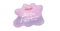 everydaylouie: ditto facts