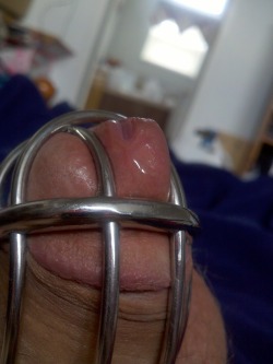 haversackers:  girlsrule-subsdrool:   (photo submission) As requested  Thank you! Seeing somebody edge to pre-cum is exactly what I wanted! Nice juxtaposition with the steel, too.  Looooovely.  Gee…  this could be a photo of me.  In a Jailbird, drooling,