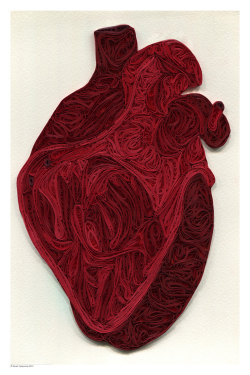 fer1972:   Quilled Anatomy by Yakawonis Quilling          