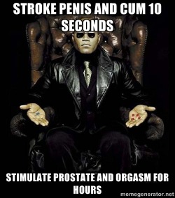 Prostate Orgasms: The Guide.