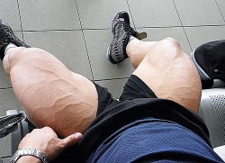 musclelover:  Quad almighty look at these babies…Vascular and huge…Gotta love them massive quads Looking for muscle to worship? Look no further than http://bit.ly/14qL0gL for all your muscle worship desires!