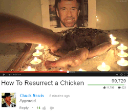 futubanderaa:  Cómo resucitar un pollo.