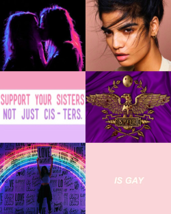 piper-mclean-though:  PJO Pride Month Aesthetics (6/?)Trans lesbian Reyna