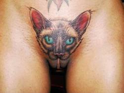 labialounge:  Siamese “pussycat” bald pussy tattoo 