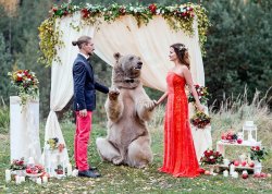 kreuzdrache:  kumosama:  atlas-prime:  amarilloo:  If this isn’t how I get married then what’s the point  @soursongbird  @reggetti are these your future wedding pictures  @reedrill 
