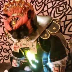 cat-cosplay:  “The only person you are destined to become is the person you decide to be.” ~Ralph Waldo Emerson  Cat Cosplay, Legend Of Zelda: Ganondorf  (“Ga'nyan'dorf”)