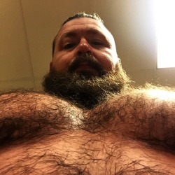 chadillacjax:  Furry mitties #beardedgay #hairymuscle #chesticles #pecs #musclebear #chestday #gymlife #liftlife #furball #gaymuscle  (at LA Fitness - FISHERS)
