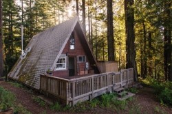 alfredbear:  revelation–blues:  Cozy A-Frame Cabin in the Redwoods  Un lugar así de acogedor para vivir.