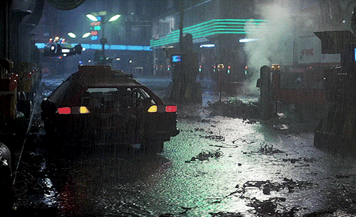 lady-laracroft:   Blade Runner (1982) dir.  Ridley Scott