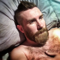 scootersguf:  thelastofthewine:  fredsticks:  Christmas sucked, I’m spending my entire Boxing Day in bed playing Fallout unless someone can talk me out if it  *** Awesome beard, cool furry chest and nice eyes… wouldn’t mind spending Boxing Day in
