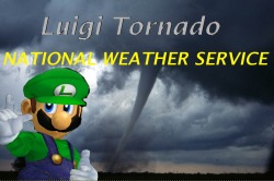 caprisunsport:i had a very intense nightmare when i was a young child where my nintendo gamecube had some sort of built in weather alert feature and when i tried to play melee during a tornado this screen came up along with a really loud buzzing sound