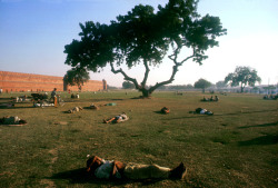 unrar:   India, Delhi, 1972. People sleeping near the Red Fort, by Ferdinando Scianna.   