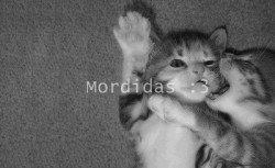 I :3 Mordidas | via Tumblr en We Heart It. http://weheartit.com/entry/68997762/via/myworldpink