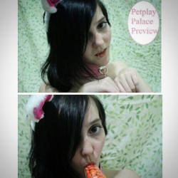 espikvlt:New set coming to a #petplaypalace near you this Easter! “At the Bunny Ranch.” #petplay #me