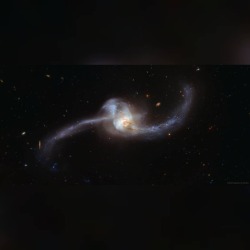 NGC 2623: Merging Galaxies from Hubble #nasa #apod #esa #hubble #optical #spitzer #infrared #xmmnewton #xray #galex #ultraviolet #hubblespacetelescope #ngc2623 #arp243  #galaxies #galacticcollision #galacticmerger #intergalactic #interstellar #universe