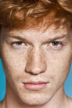 flowerfred:  for-redheads: “RED HOT&ldquo; project by Thomas Knights Showcasing a positive outlook on the red-haired male, and aiming to re-brand the ginger male stereotype along the way. 