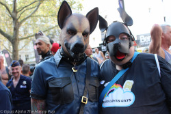You can learn more about human pup play here: http://SiriusPup.net http://TheHappyPup.com http://PupSafeProject.org 