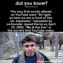 did-you-kno:The very first words uttered on YouTube were “All right, so here we are in front of the, uh, elephants.” Uploaded by co-founder Jawed Karim on April 23, 2005, “Me at the Zoo” is the world’s first YouTube video.  Source