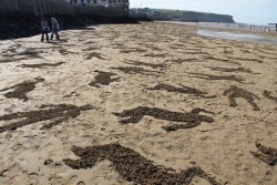 odditiesoflife:  9,000 Fallen Soldiers Stenciled into Sand at Normandy Beach To commemorate “Peace Day”, British artists Jamie Wardley and Andy Moss, in combination with many volunteers, went to Normandy Beach and stenciled the silhouettes of the