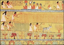 ancient-egypts-secrets:  The fields of Aaru or the Egyptian reed fields, are the heavenly paradise, where Osiris ruled after he became part of the Egyptian pantheon. On reaching Aaru, the soul was met with pleasures, such as perfect hunting grounds
